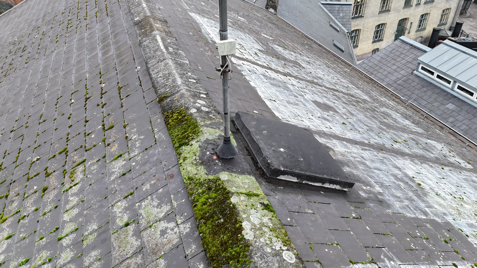 Drone billede af tagrygning med ventilationsrør, mosvækst og asfaltlap omkring gennemføring